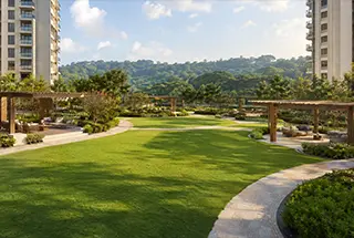 Turf Parks